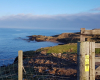 Holiday Cottage, Driftwood, Portsoy - Moray Coast Self Catering Cottages