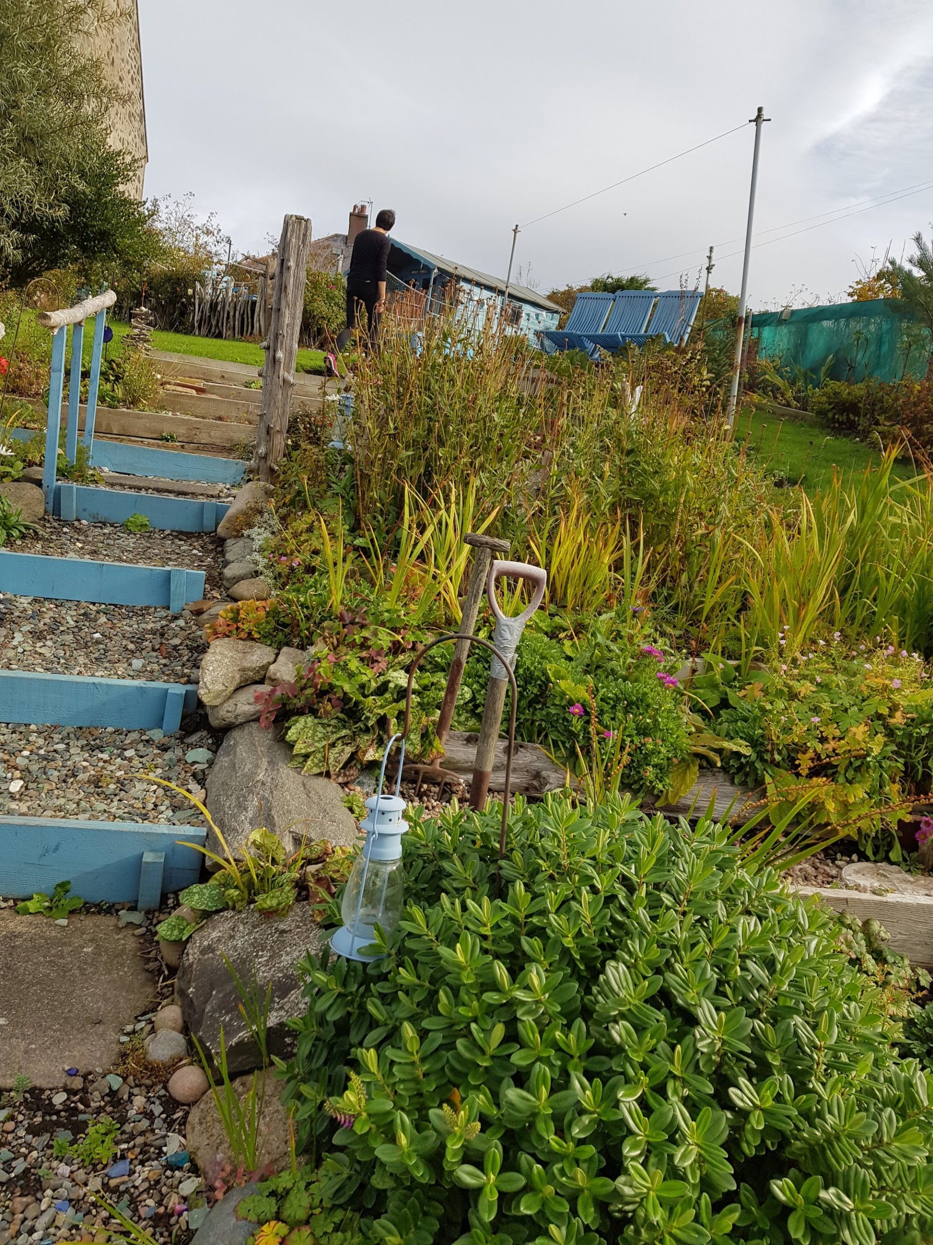 Holiday Cottage, Driftwood, Portsoy - Moray Coast Self Catering Cottages