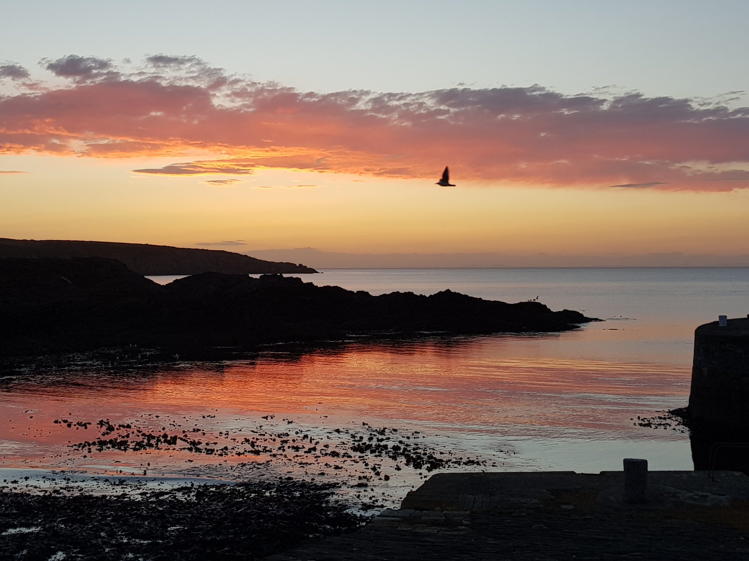 Holiday Cottage, Driftwood, Portsoy - Moray Coast Self Catering Cottages